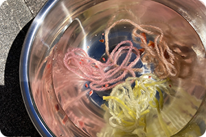 食事バランスガイド